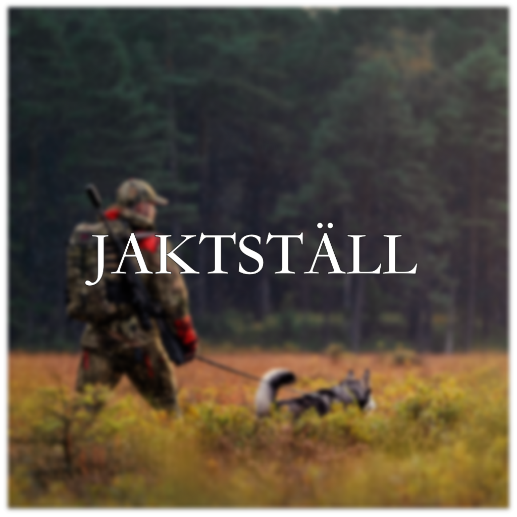 jaktställ