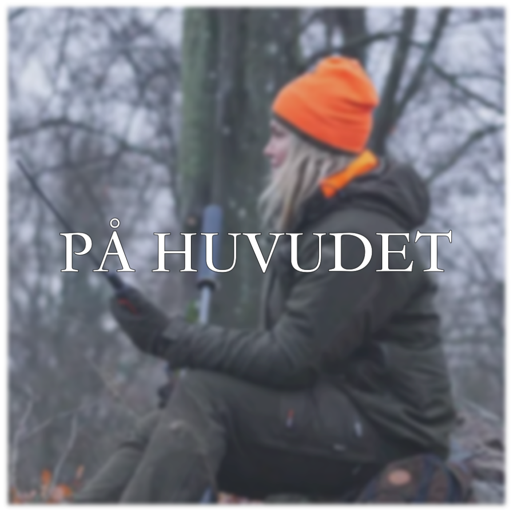 kategori på huvudet